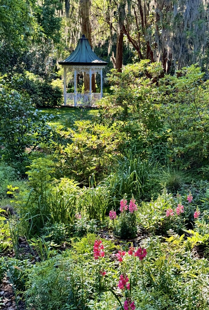 Magnolia Gardens — sublimely beautiful in Spring by congaree