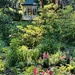 Magnolia Gardens — sublimely beautiful in Spring