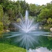 Spectacular Gardens by danette