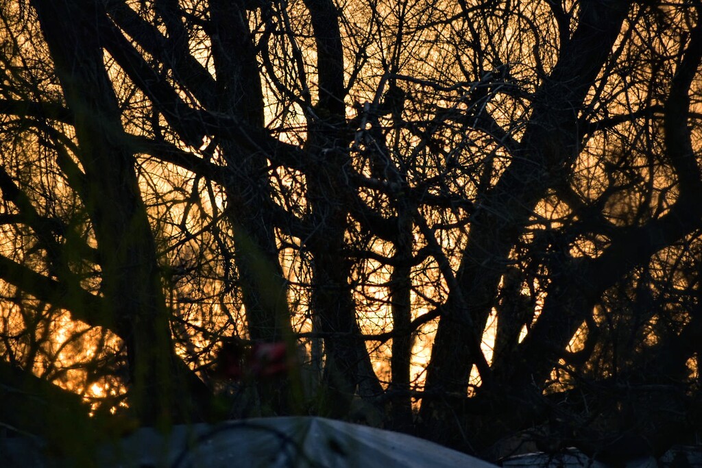 Golden Sunset by bjywamer