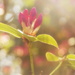 2025-04-11 gentle unfolding
