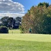 Another Day, and More Golf