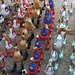 Ducks on Parade