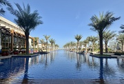 13th Apr 2025 - Pool and palm trees. 