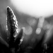 h2o - droplets
