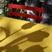 Tulips shadow by vincent24