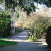 Spring and its Light