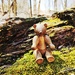 Sitting on moss