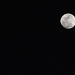 BY THE LIGHT OF THE SILVERY MOON