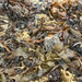 Beach texture
