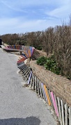 12th Apr 2025 - The longest bench