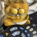 Garfield Wants to Choose (Single Subject #13)