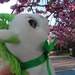 IMG_20250412_083301_BURST004
