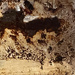 12 - A Face within a Face