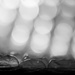 bubbles