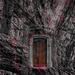The Door in the Woods