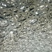 Ceiling. 