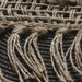 Jute