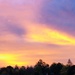 Night Sky
