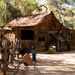 Boyce Thompson Arboretum