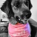 It’s a Girl!