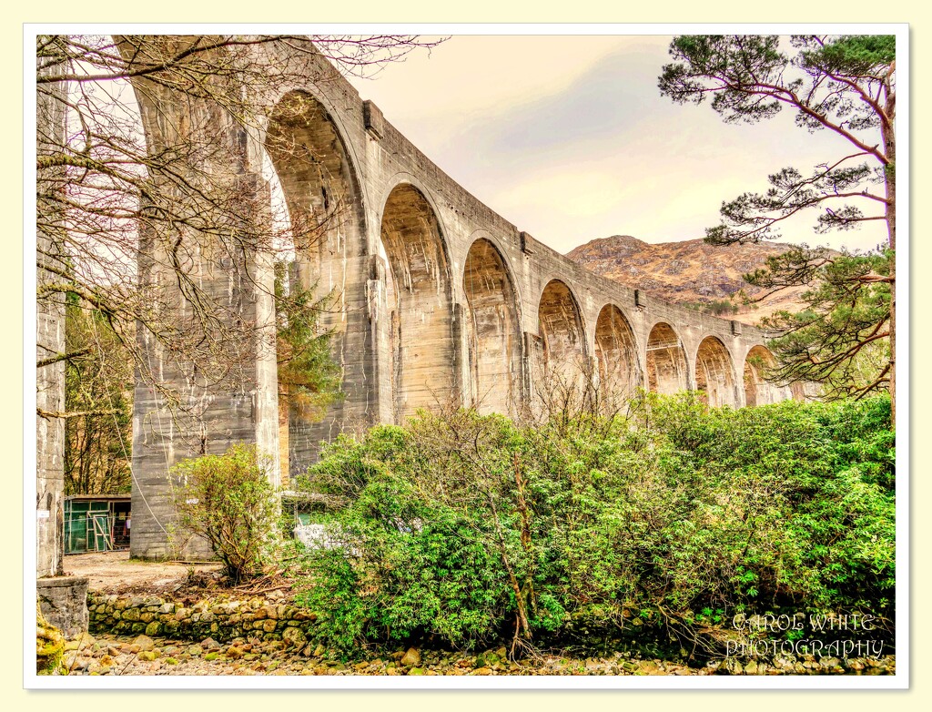 Glenfinnan Viaduct by carolmw