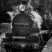 The Rattler