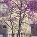 Think Pink!