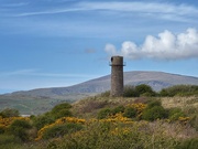 13th Apr 2025 - Hodbarrow Nature Reserve