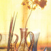 2025-04-14 porcupine & bloom