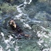This Otter Be a Good Week!