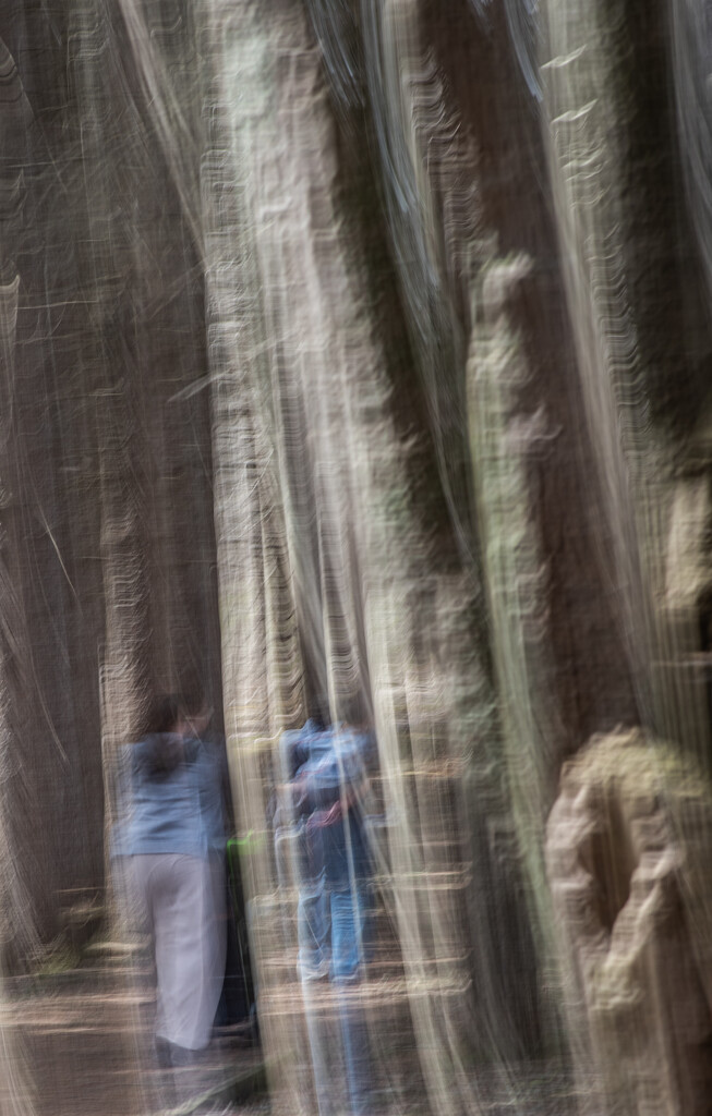 Travelers on the path by darchibald