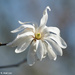 Spring at Last
