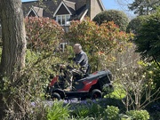 31st Mar 2025 - Boys Toys part 2
