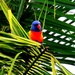 Waiting For The Sunflower Seed ~