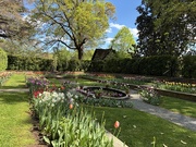 15th Apr 2025 - In the Garden