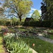 In the Garden