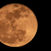 Last Night's Full Moon!