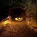 Thurston Lava Tube