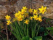 17th Mar 2025 - St Peter's Leeks
