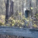 On the fence 2...