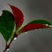 Raining....