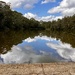 Reflections