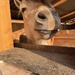 Hello !