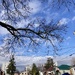 Sun and Blue Sky