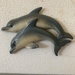 Dolphin Day