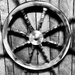 Behold the Aquatic Steering Wheel