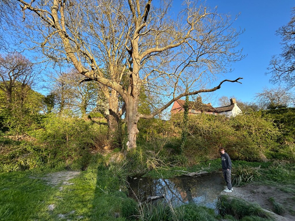 Enjoying a Moment of Solitude  by foxes37