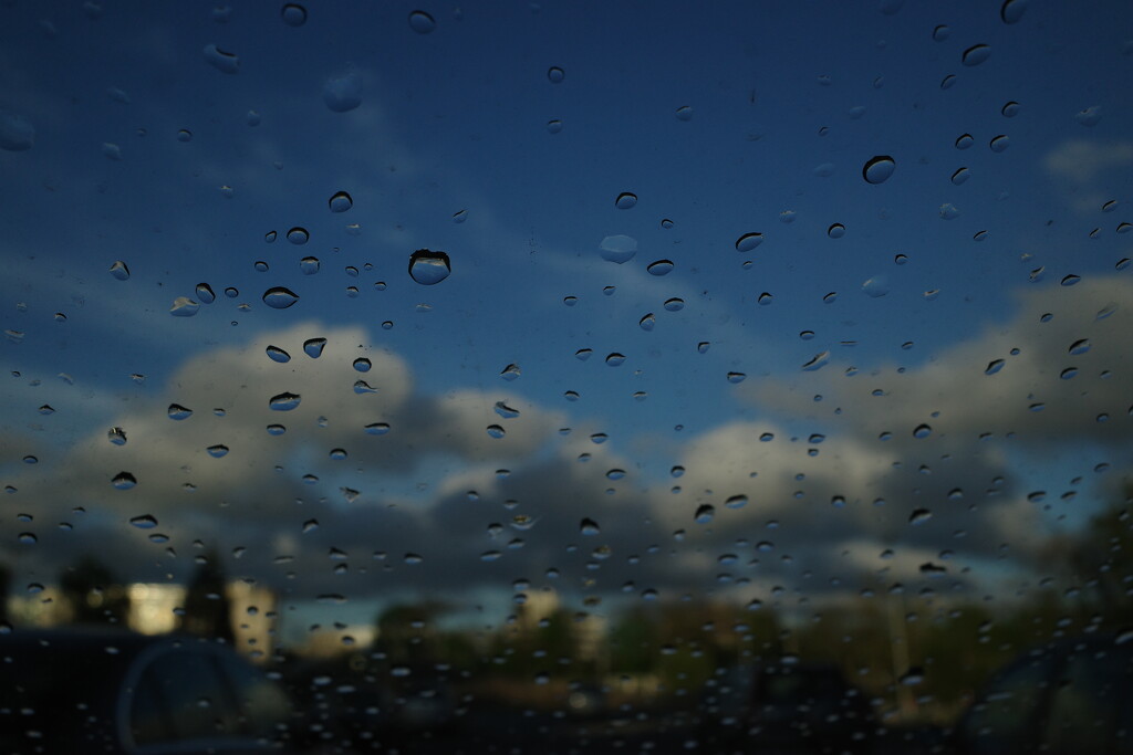 After the rain by vincent24