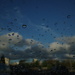 After the rain